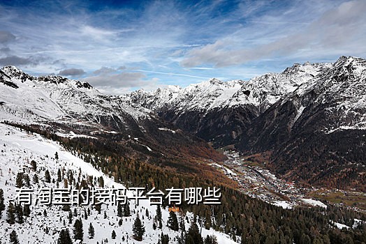 中国手机号接码短信平台