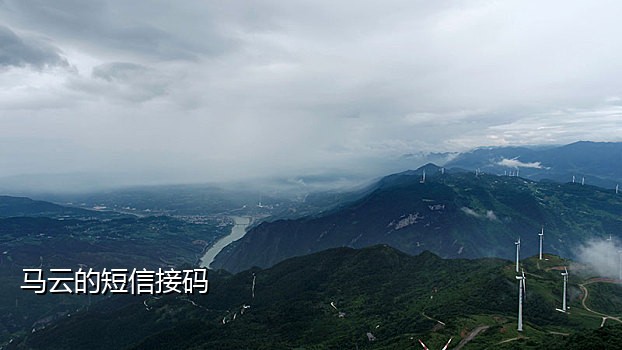 智码手机接码管家