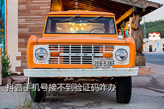 真实手机号免费接码软件