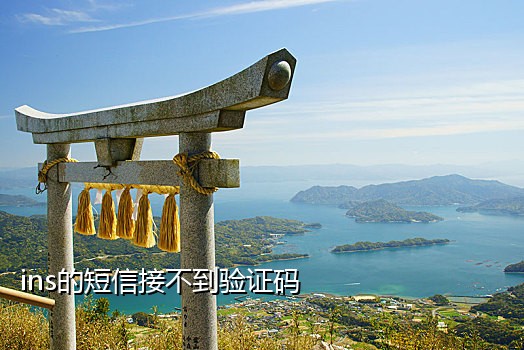 赵云接码苹果版