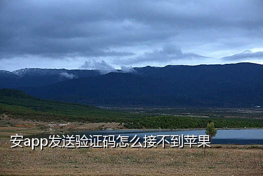 怎么弄手机号接验证码短信
