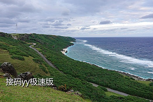 怎么接码才可以把探探养活