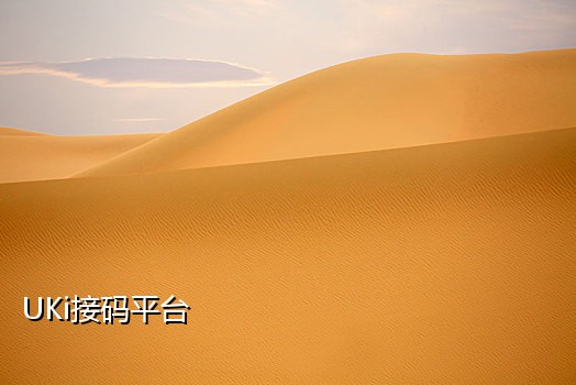 运营商短信接码