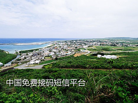 云手机接码验证平台有哪些