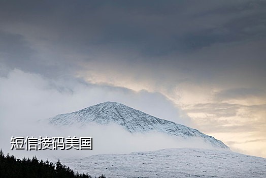 接码注册闲鱼有风险吗