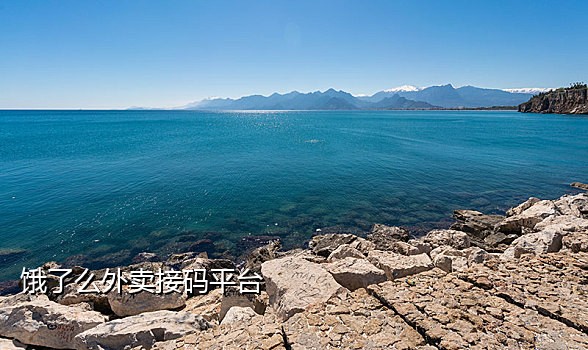 有手机APP的接码平台