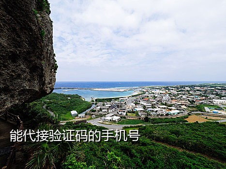 易码平台短信接不到