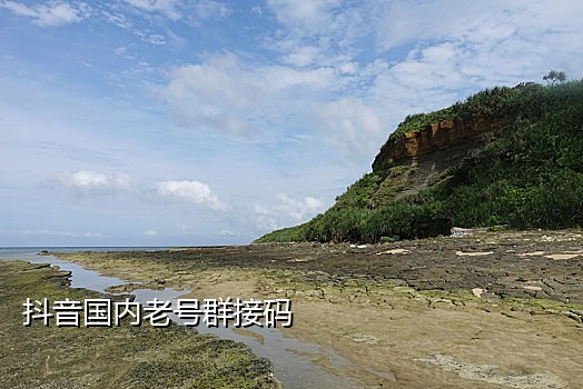 探探二次接码