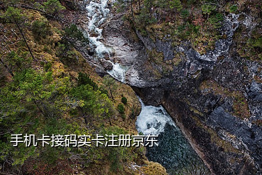 夜神接码短信平台在哪里