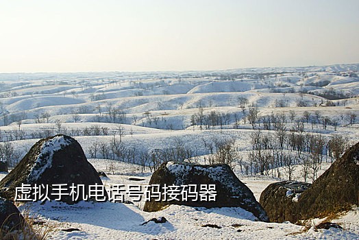 新蓝鸟接码怎么用手机操作