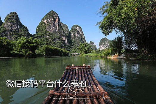 接码直接发到手机里
