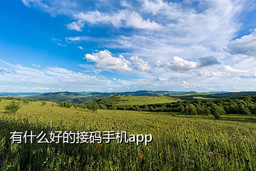 五码接码苹果下载