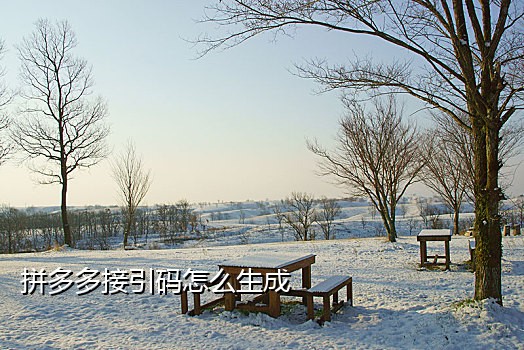 微信视频为啥接不到验证码