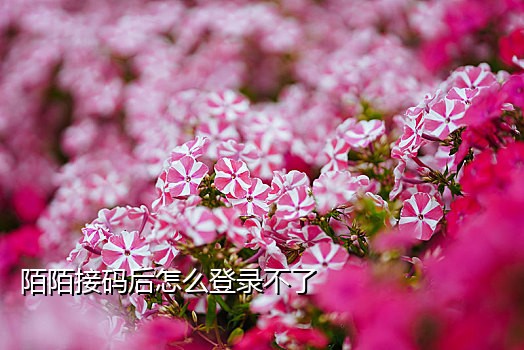 微信老号接码验证码