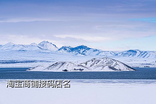 外国云短信在线接码