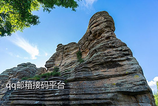 厅卡接码抖音注册