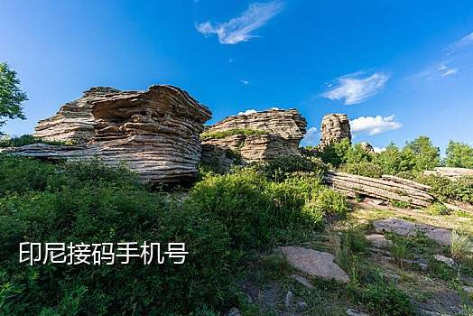 天码短信接验证码平台