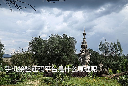 淘宝怎么接码代付订单