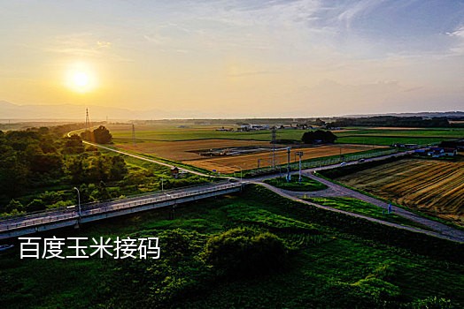 接码手机是干什么的