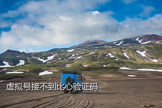手机营业厅接码