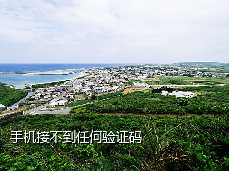 接码软件手机软件推荐