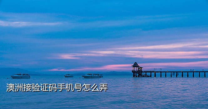 手机接验证码特别慢