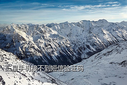 手机号验证码接码短信网站