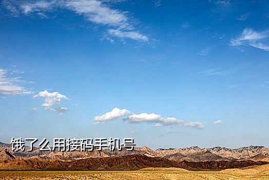 手机号码接码平台吧