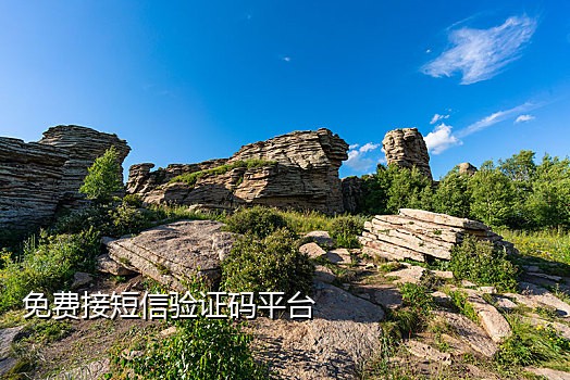 手机不用了接不了验证码