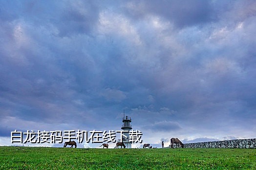 手机2次接码