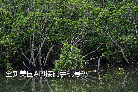 如何接别人手机验证码