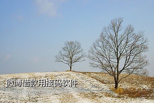 七星接码短信下载