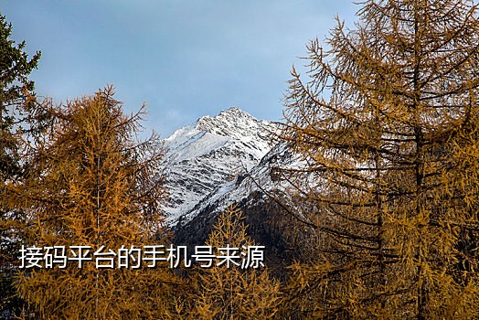 苹果手机短信接码器在哪里