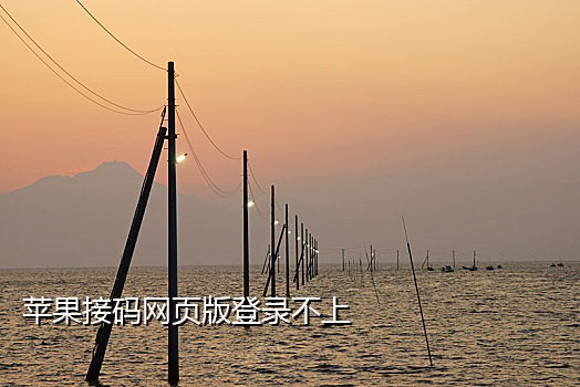 苹果接码网页版登录不了