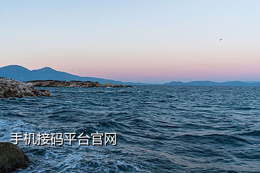 苹果短信代接验证码