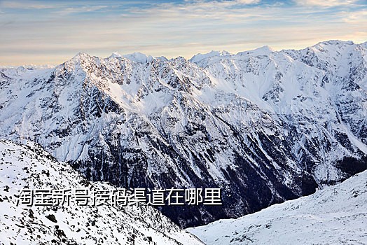 苹果ID怎么接不到验证码