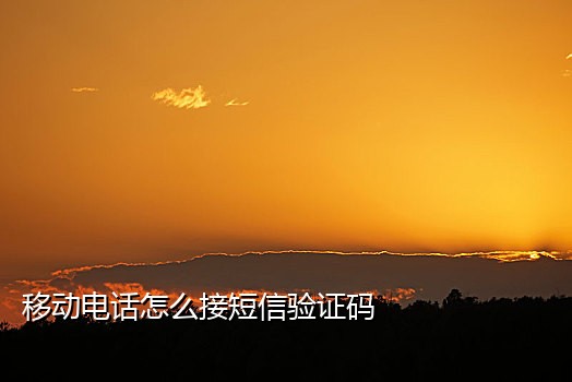 拼多多接码首次