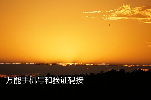 能够发送短信的接码平台