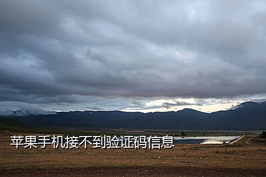 临时手机号接验证码