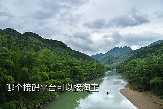雷云短信接码
