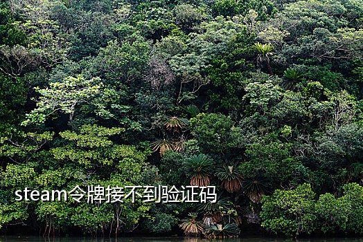 蓝牙接微信二维码