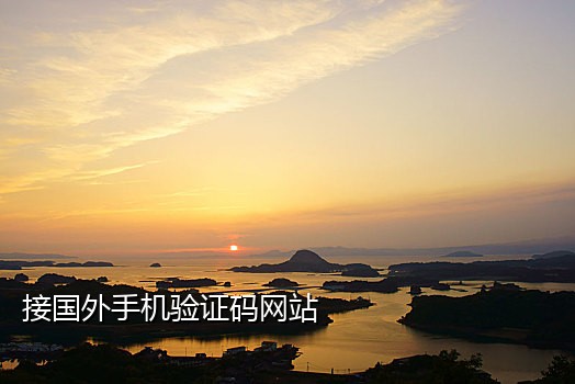 来信手机app接码