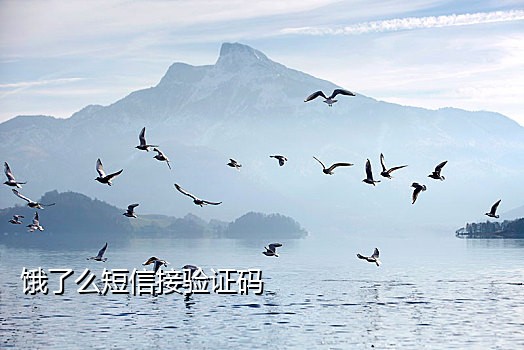 快米短信接码