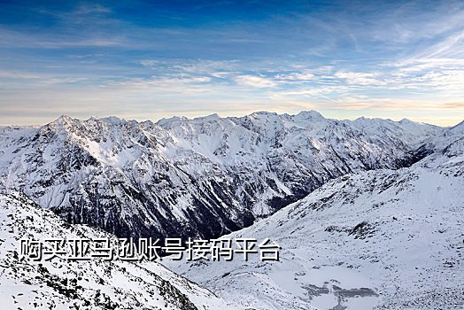 可以接淘宝码的平台