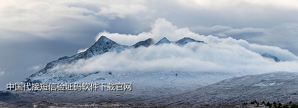 卡盟手机号接码