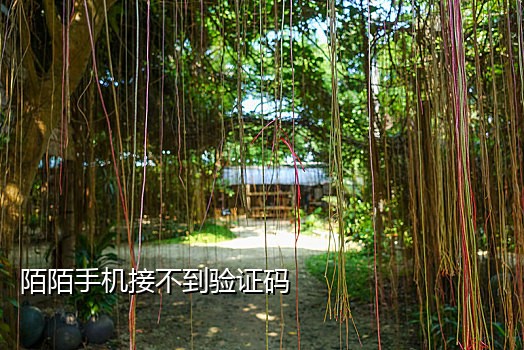 接验证码的美国手机号