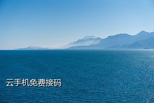 接码平台大众点评外卖