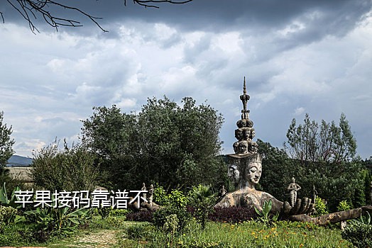 接码手机客户端