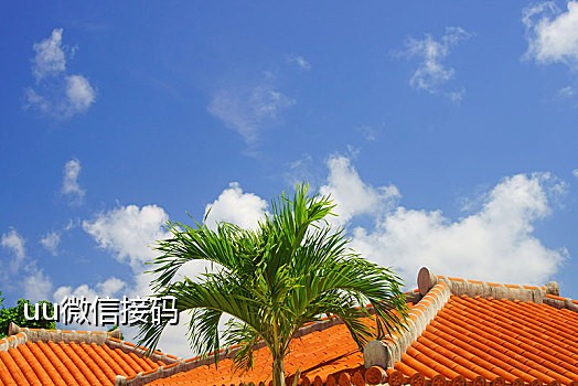 接码平台 可注册微信