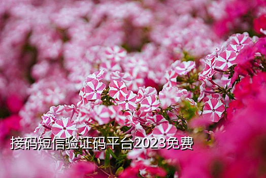 接码接抖音